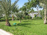 ��� ����� ������