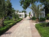 ��� �� �������