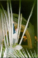 ��� ����� �������!!!