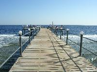 Akassia   - ������