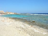 Akassia - ������� � ����