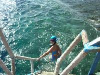 Akassia - ����� � �������