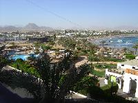 ��� � ������� ������ 346