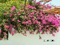 ��������4