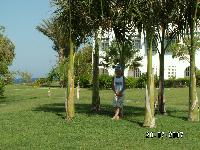 ��������4