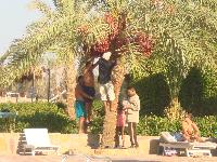 �� ������