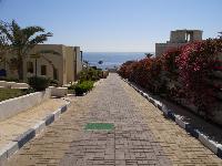 ������ �� ����