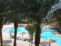 ������ ����