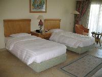 ����� 4204