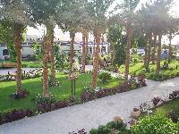 �������� � ����