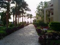 ������� � ����