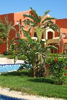 ��� ������