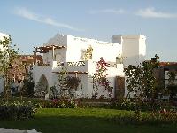 �������-����������