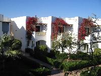 ��� ����