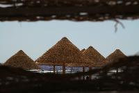 ������ ����