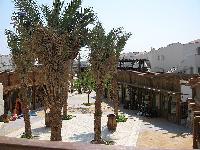 �������� �����