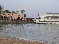 �������-�����