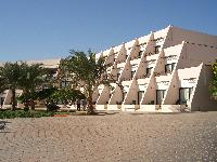 ��� ���� ����� ������