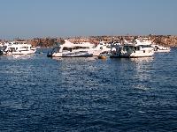 ������ � ����� ����-���-�����