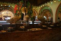 � ���������