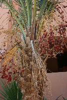 ��������� ������