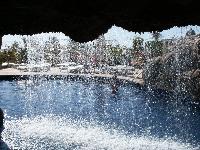 ������ �������