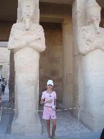 ���� ���������