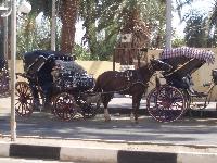 ������. �������� ������������