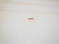 Sun Rise Garden Beach