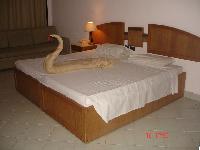 ���� ������