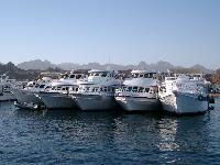 ������ � ����� ����-���-�����