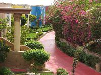 ����� ���� �����