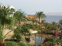 �����, ��� �� ����