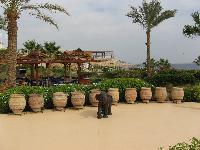 ��� ������� ������