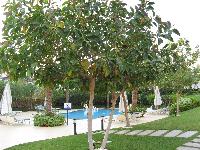 � ��� ���� �����