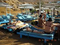 �� ����� ������  ���� ������