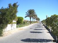 ������ �� ����