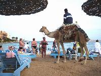 ������� �� ��������