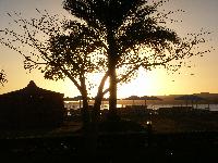 ��� �� ������