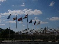 ��� �� �������� ����