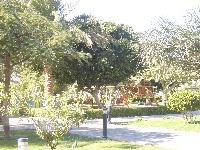 ��� �� ������� ��������