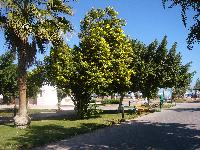 ������ � �����