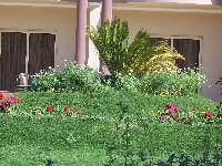 ������ �� ���������