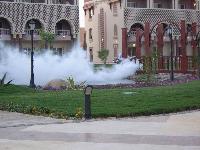 ������ � ����������