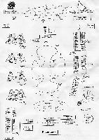 ����� �����