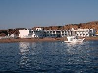 ���� ����-���-�����