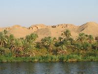 ������ ����