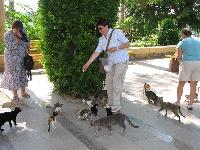 ����� � ������������ ����