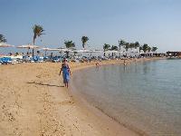 ���� ����� ������ ������� ������