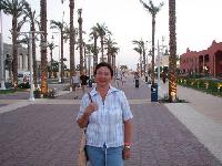 �������� ����� ������ �������